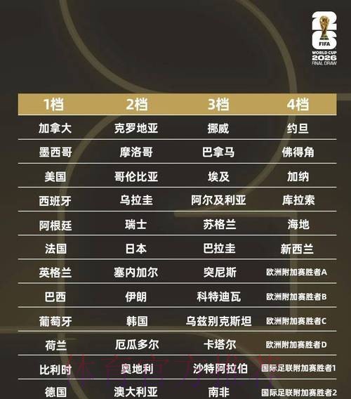 全面解析世界杯平台服务与功能